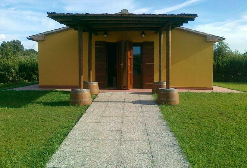 Номер Стандарт Кровать Кинг Адаптированный для Инвалидов, Agriturismo Eucaliptus