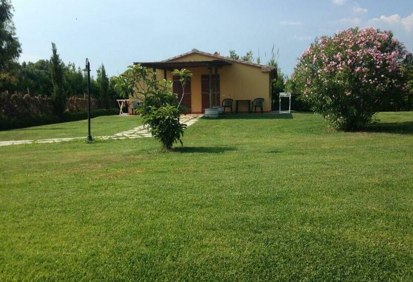 Номер Стандарт Кровать Кинг Адаптированный для Инвалидов, Agriturismo Eucaliptus