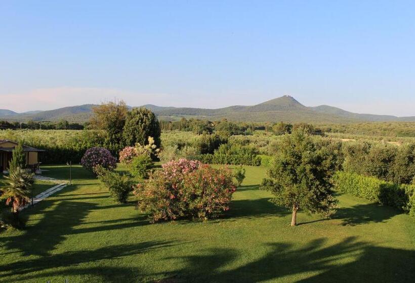 Номер Стандарт Кровать Кинг Адаптированный для Инвалидов, Agriturismo Eucaliptus