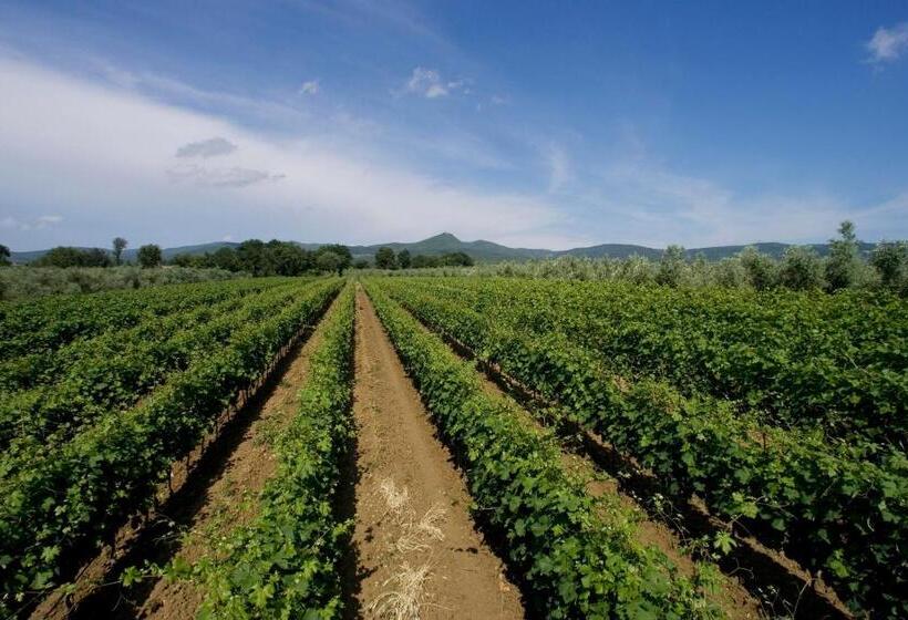 Четырехместный Номер Стандарт Вид на Сад, Agriturismo Eucaliptus