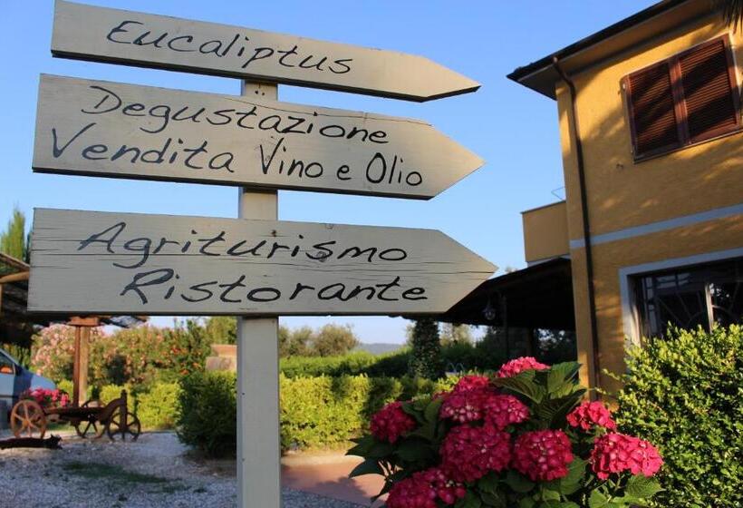 Четырехместный Номер Стандарт Вид на Сад, Agriturismo Eucaliptus