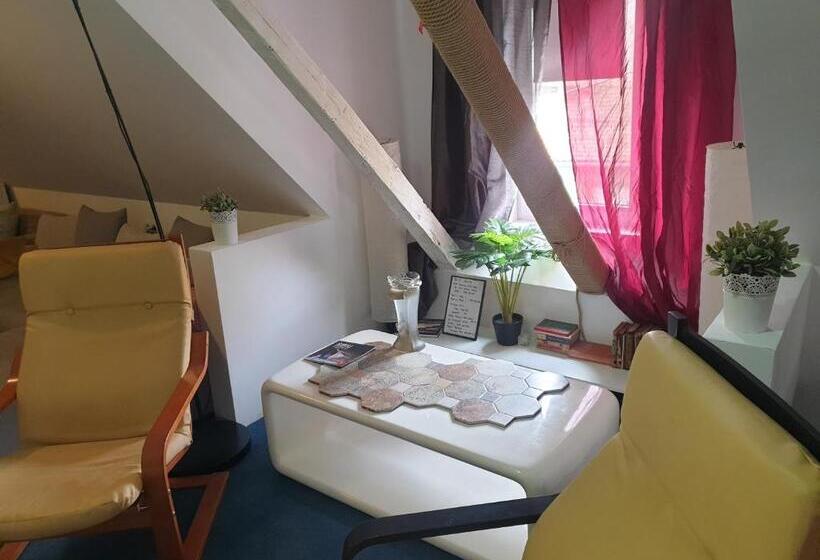 스탠다드 룸, Atia Residence