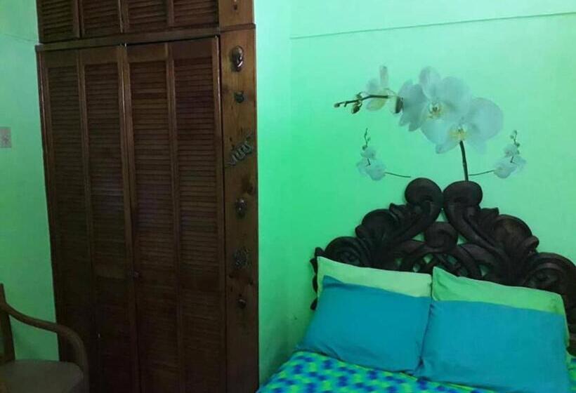 스탠다드 룸, Cancun Guest House 6