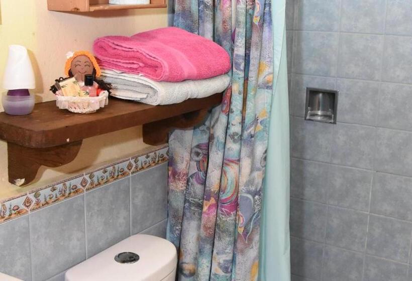 스탠다드 룸, Cancun Guest House 6