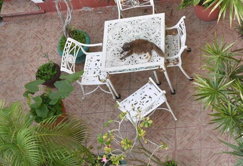 스탠다드 룸, Cancun Guest House 6