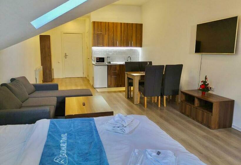 آپارتمان 1 خوابه با چشم‌انداز, New Gudauri Suites By Gudauri Travel