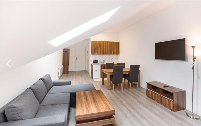 آپارتمان 1 خوابه با چشم‌انداز, New Gudauri Suites By Gudauri Travel