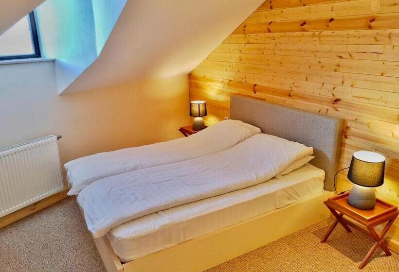 آپارتمان 1 خوابه با چشم‌انداز, New Gudauri Suites By Gudauri Travel