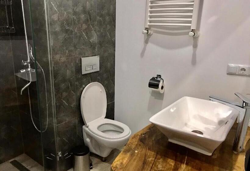 اتاق استاندارد, New Gudauri Suites By Gudauri Travel