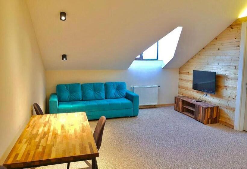 آپارتمان 1 خوابه با چشم‌انداز, New Gudauri Suites By Gudauri Travel