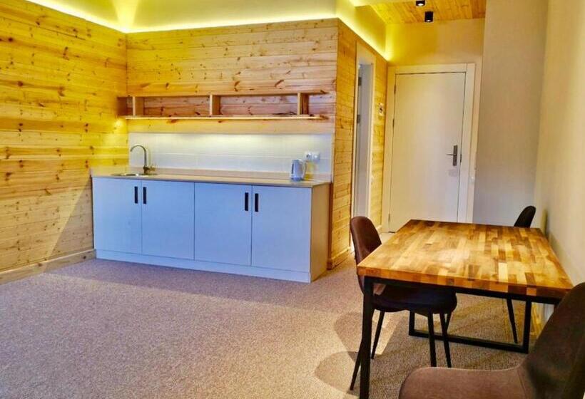 آپارتمان 1 خوابه با چشم‌انداز, New Gudauri Suites By Gudauri Travel