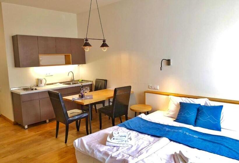 آپارتمان 1 خوابه با چشم‌انداز, New Gudauri Suites By Gudauri Travel