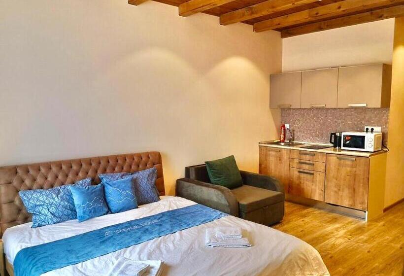 استودیوی استاندارد, New Gudauri Suites By Gudauri Travel