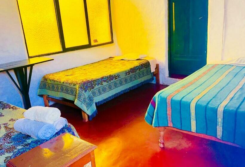 تختخواب در اتاق مشترک, Surf Hostel My Friends