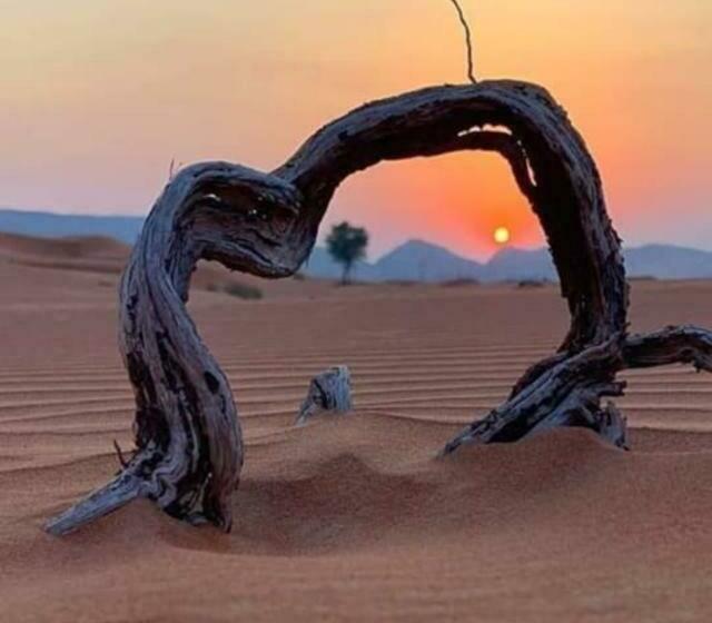 Standard Tent, Erg Chegaga Nomad Tour