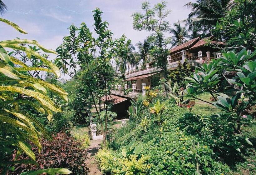 חדר סטנדרט יחיד, Gaia Oasis Mountain Abasan