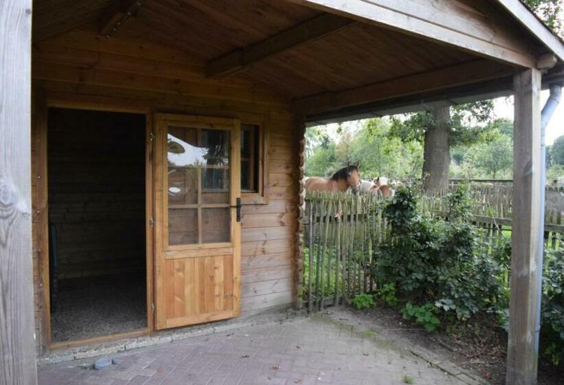 침실 1개 아파트, Groepsboerderij 20 Pers
