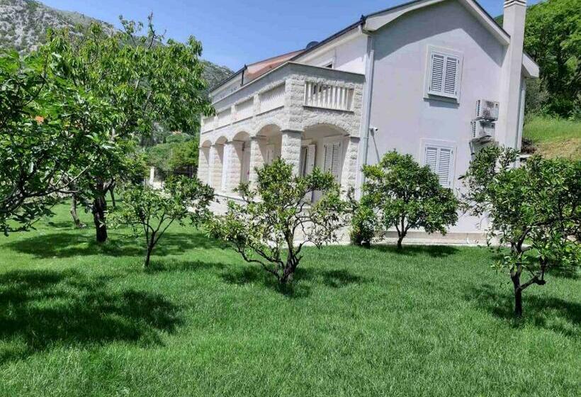 سوییت با چشمانداز دریا, Queen Teuta