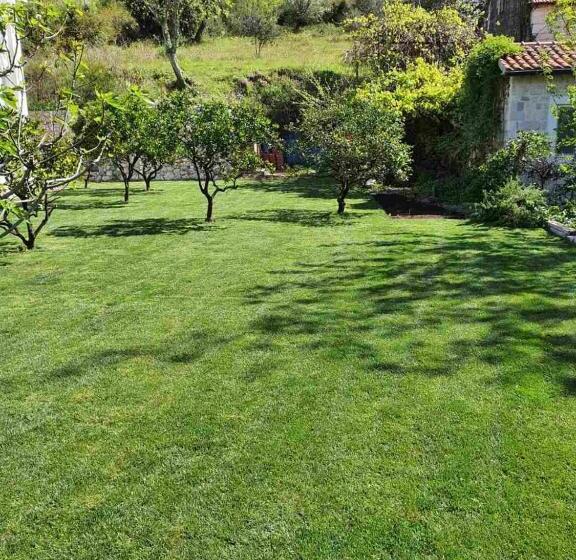 استودیو استاندارد با چشمانداز, Queen Teuta