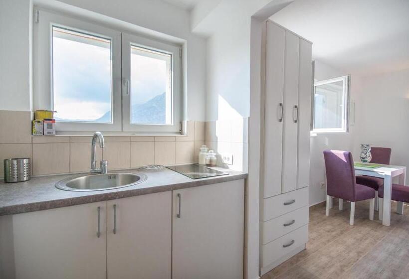 استودیوی استاندارد با چشمانداز دریا, Queen Teuta