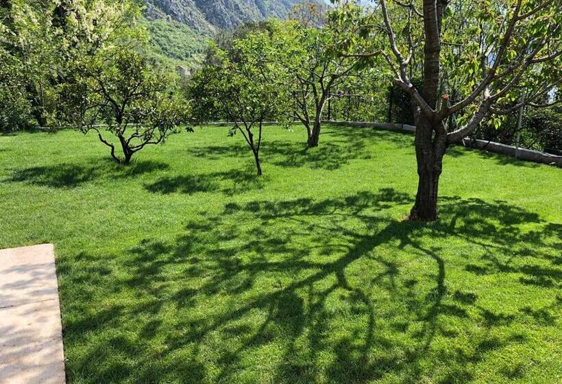 استودیوی استاندارد با چشمانداز دریا, Queen Teuta