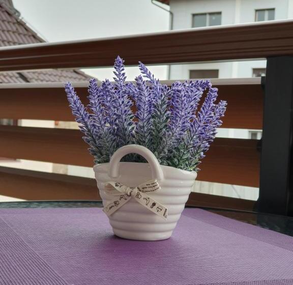 Apartamento 2 Quartos, Zlatibor Hills Lara