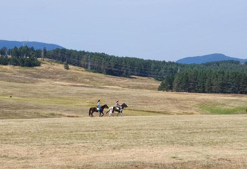 آپارتمان 2 خوابه, Zlatibor Hills Lara