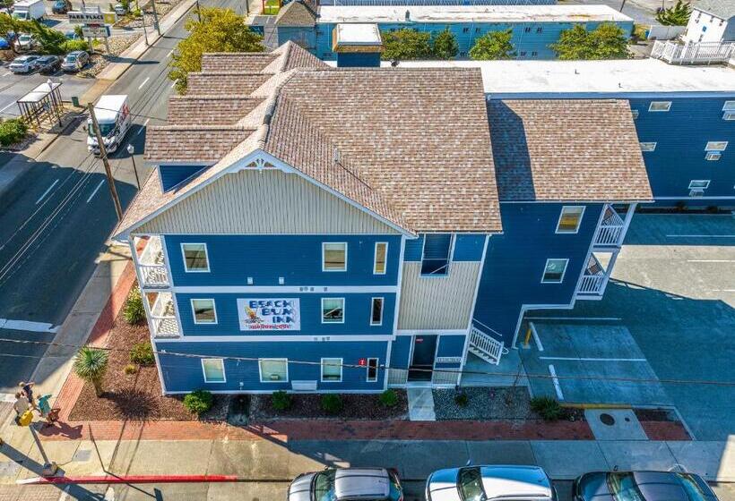 带2个双人床的标准工作室, Beach Bum Inn