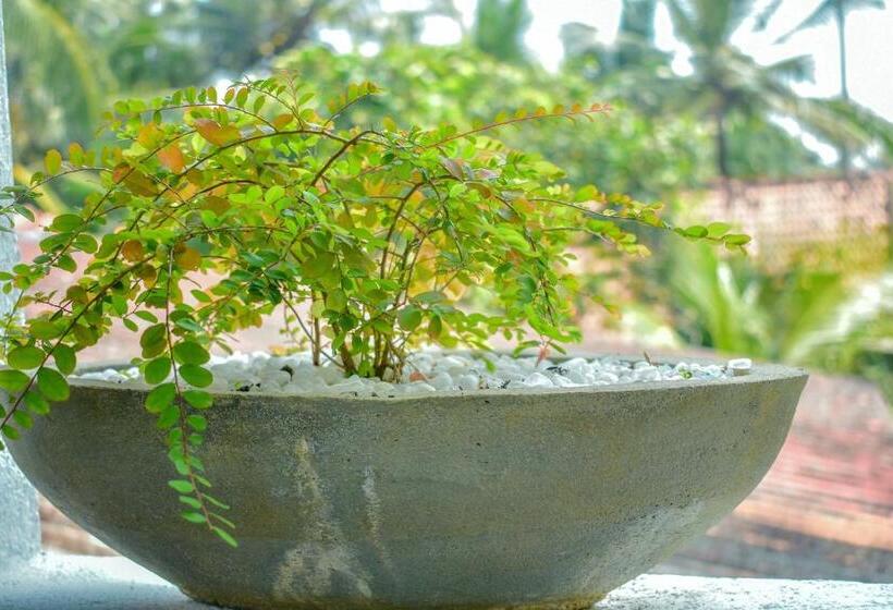 バルコニー付きデラックスルーム, Aliya Aliya Hikkaduwa