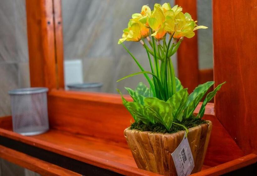 デラックスルーム, Aliya Aliya Hikkaduwa