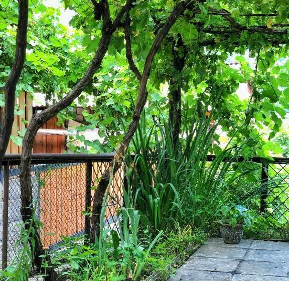 اتاق استاندارد با چشم‌انداز کوهستان, Achela S Guesthouse