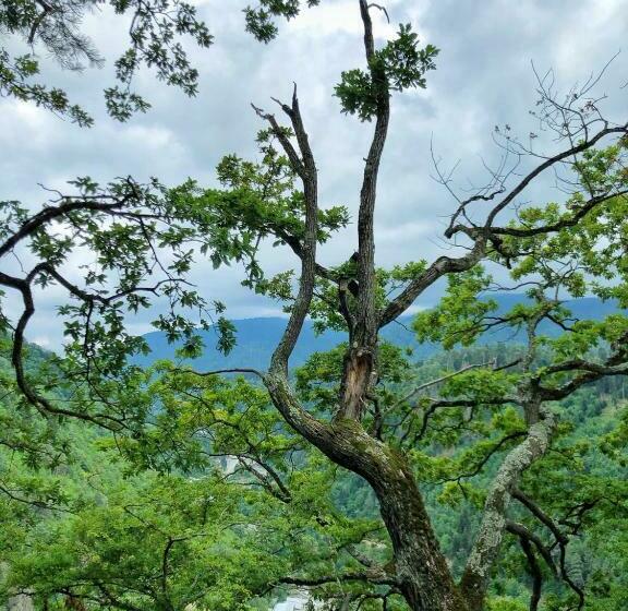 اتاق استاندارد با چشم‌انداز کوهستان, Achela S Guesthouse