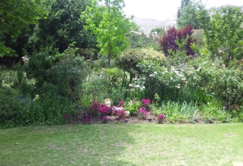 Номер Стандарт, Amani Guest House Clarens