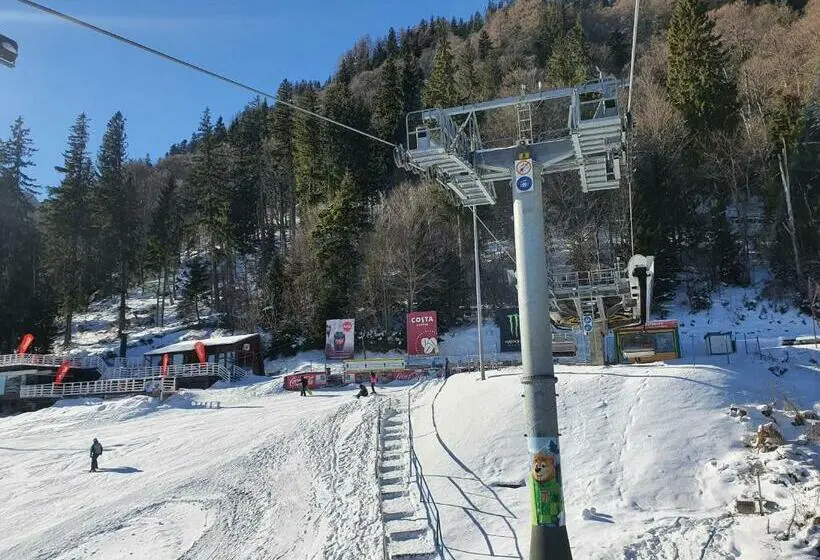 キングサイズベッドのスタンダードルーム, Casa Bucegi Busteni