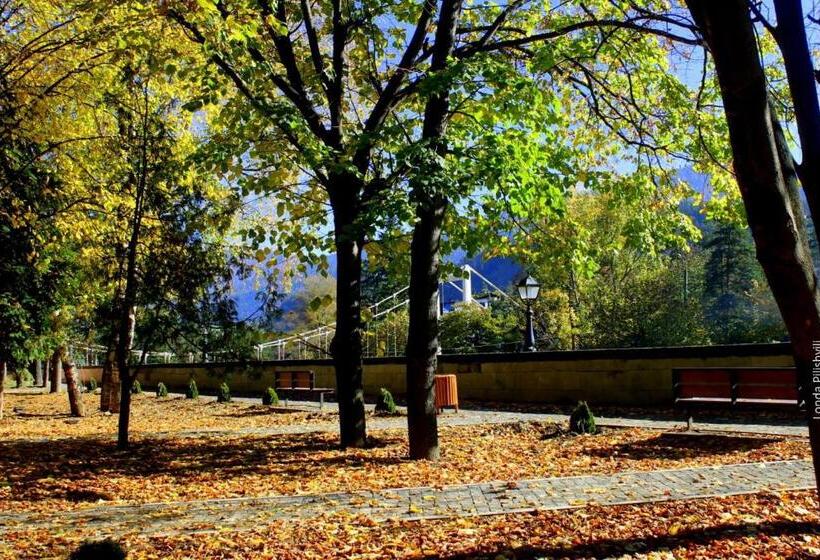 آپارتمان 1 خوابه با چشم‌انداز, Our House