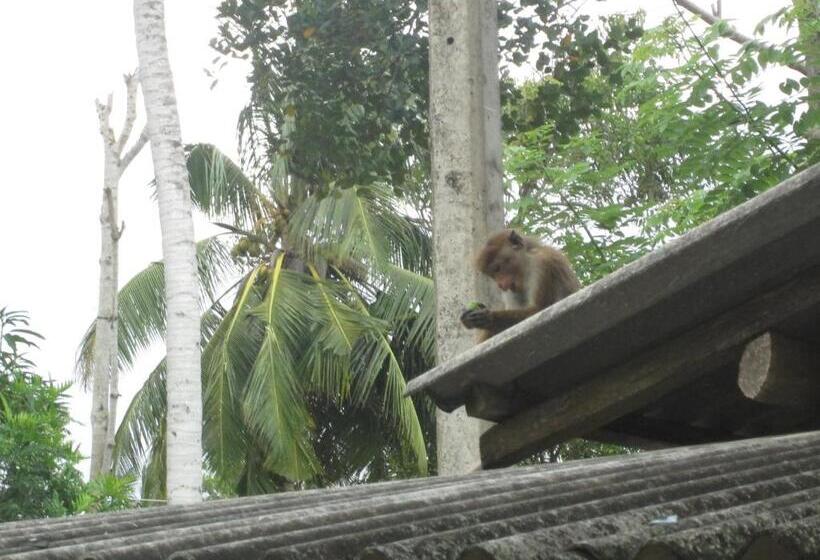 带1个卧室的别墅, Nature Inn