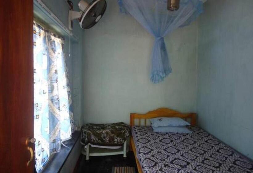 标准单人间, Nature Inn