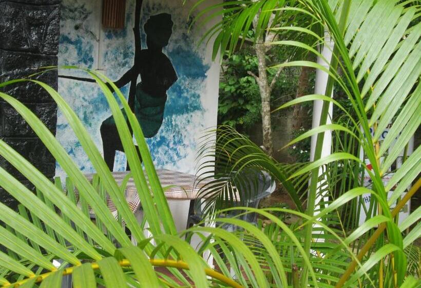 标准单人间, Nature Inn