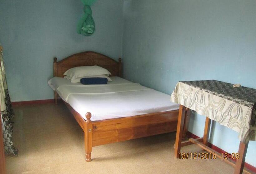 标准单人间, Nature Inn