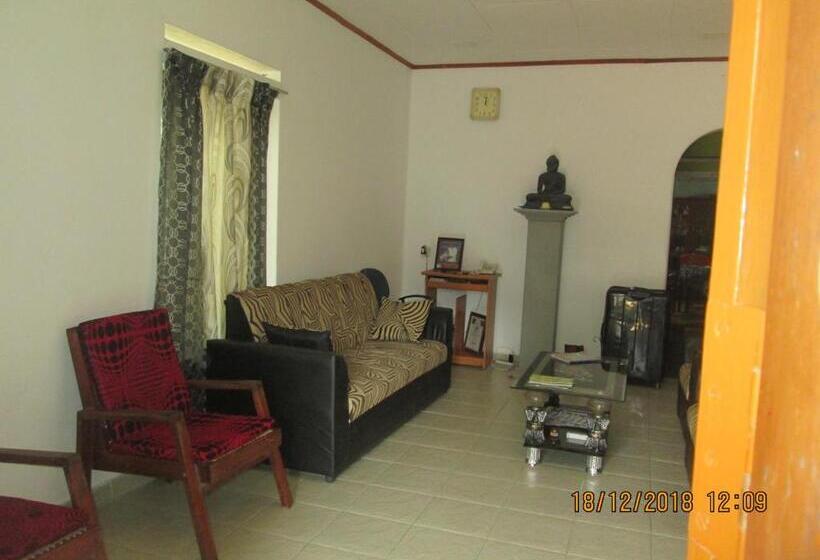 标准单人间, Nature Inn