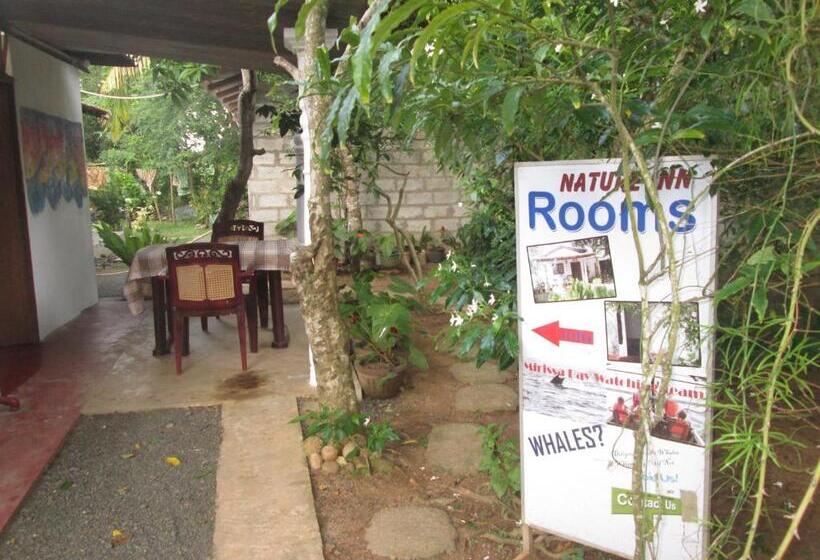 经济房, Nature Inn