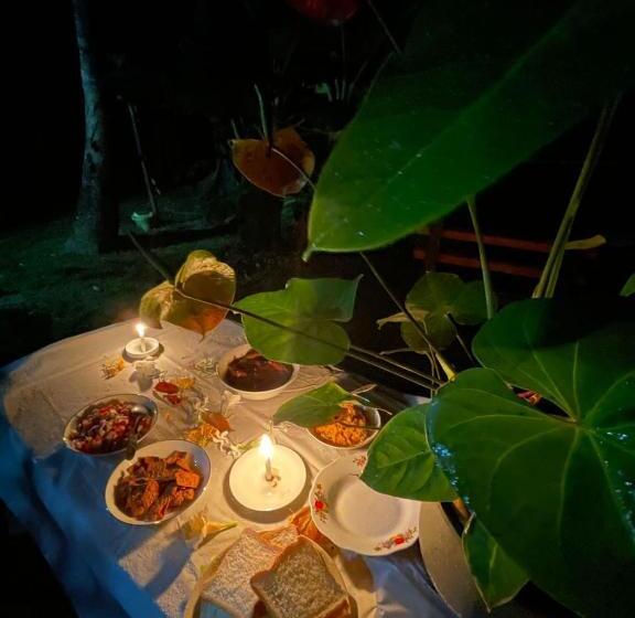 标准房带园景, Nature Inn