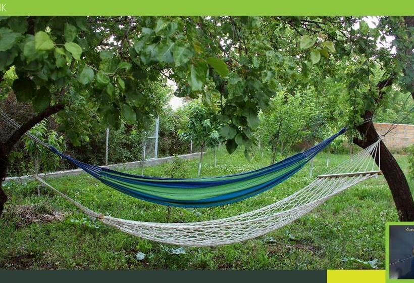 اتاق اکونومی, Guest House Hasmik