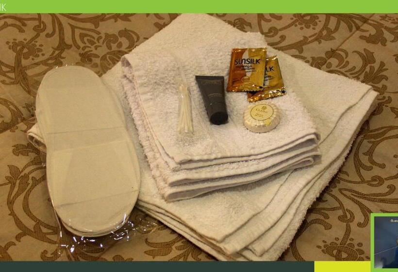 اتاق اکونومی, Guest House Hasmik