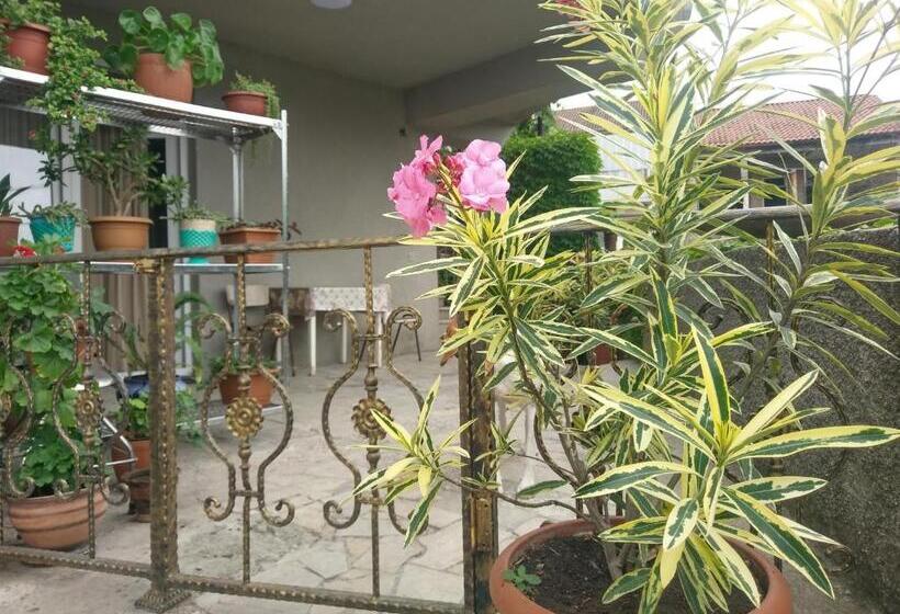 اتاق خانوادگی, Guest House Vista