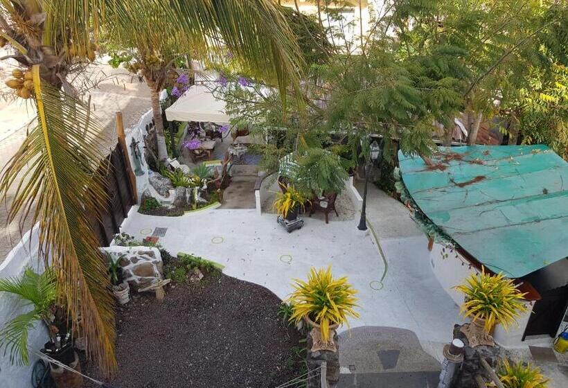 اتاق استاندارد, Hostal Cann's House