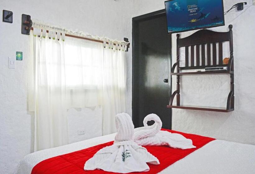 Quarto Estandar, Hostal Cann's House
