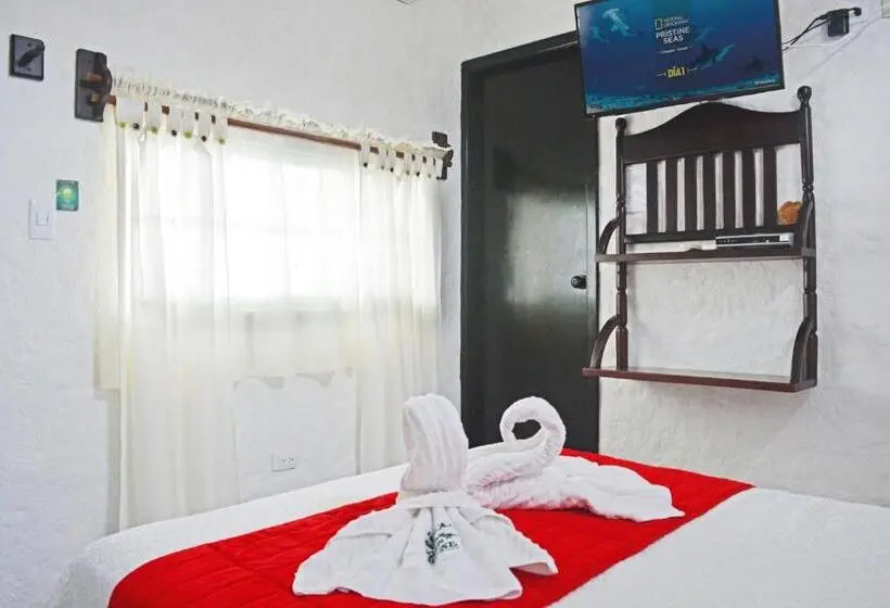 Standard-huone, Hostal Cann's House
