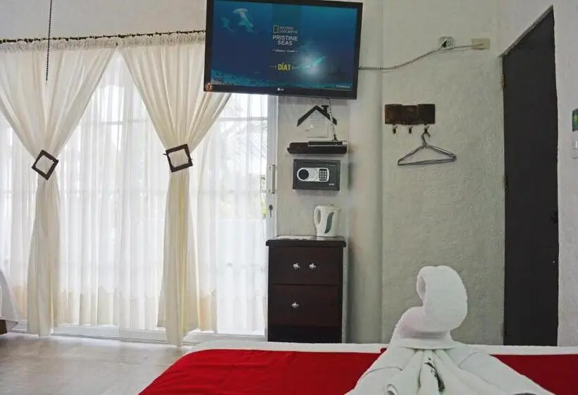 Standard-huone Parveke, Hostal Cann's House