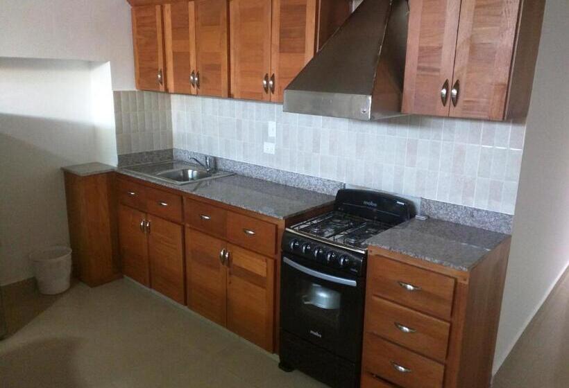 آپارتمان سوپریور 1 خوابه, Aparta Hotel Caribe Paraiso